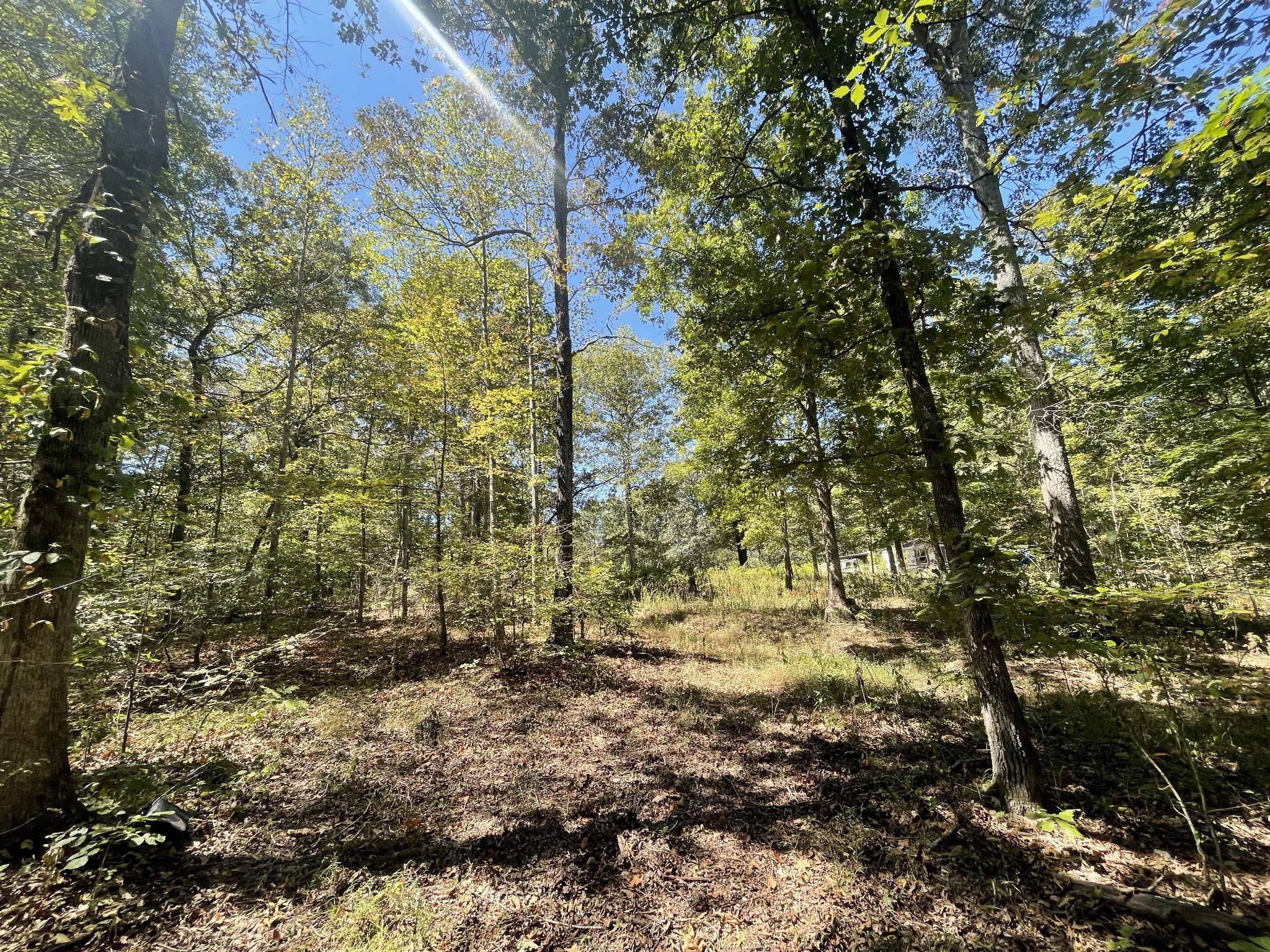 321 Lowery Cemetery Road Cumberland City, TN 37050 - Photo 35 of 50 Gallery Image 35