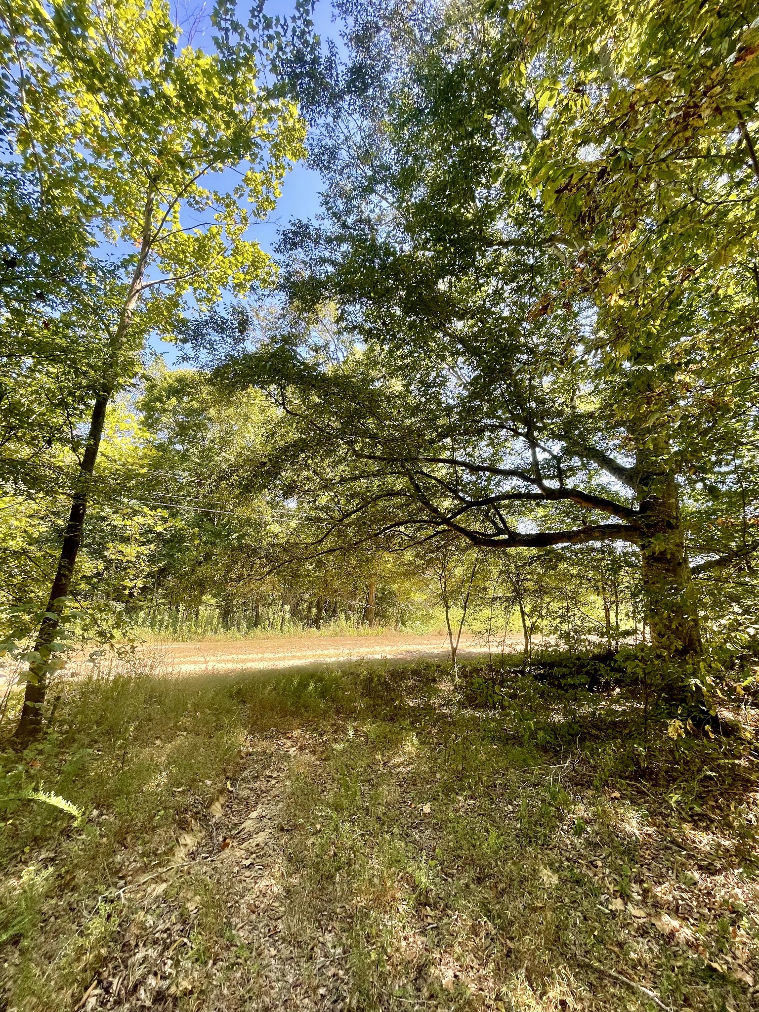321 Lowery Cemetery Road Cumberland City, TN 37050 - Photo 4 of 50 Gallery Image 4