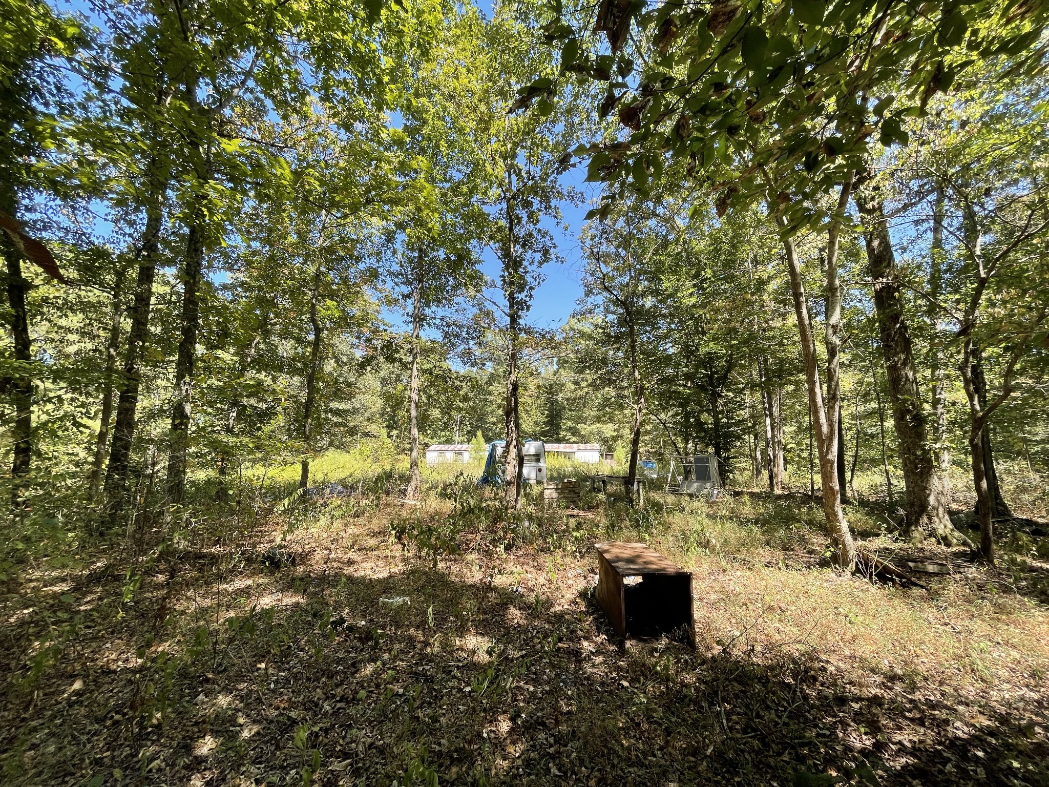 321 Lowery Cemetery Road Cumberland City, TN 37050 - Photo 48 of 50 Gallery Image 48