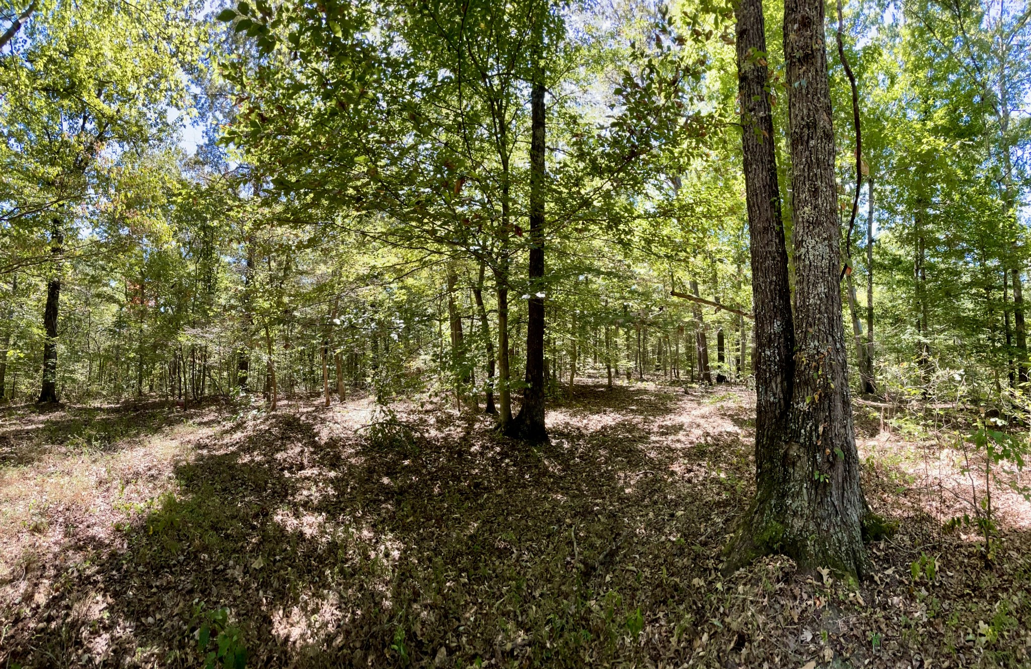321 Lowery Cemetery Road Cumberland City, TN 37050 - Photo 49 of 50 Gallery Image 49