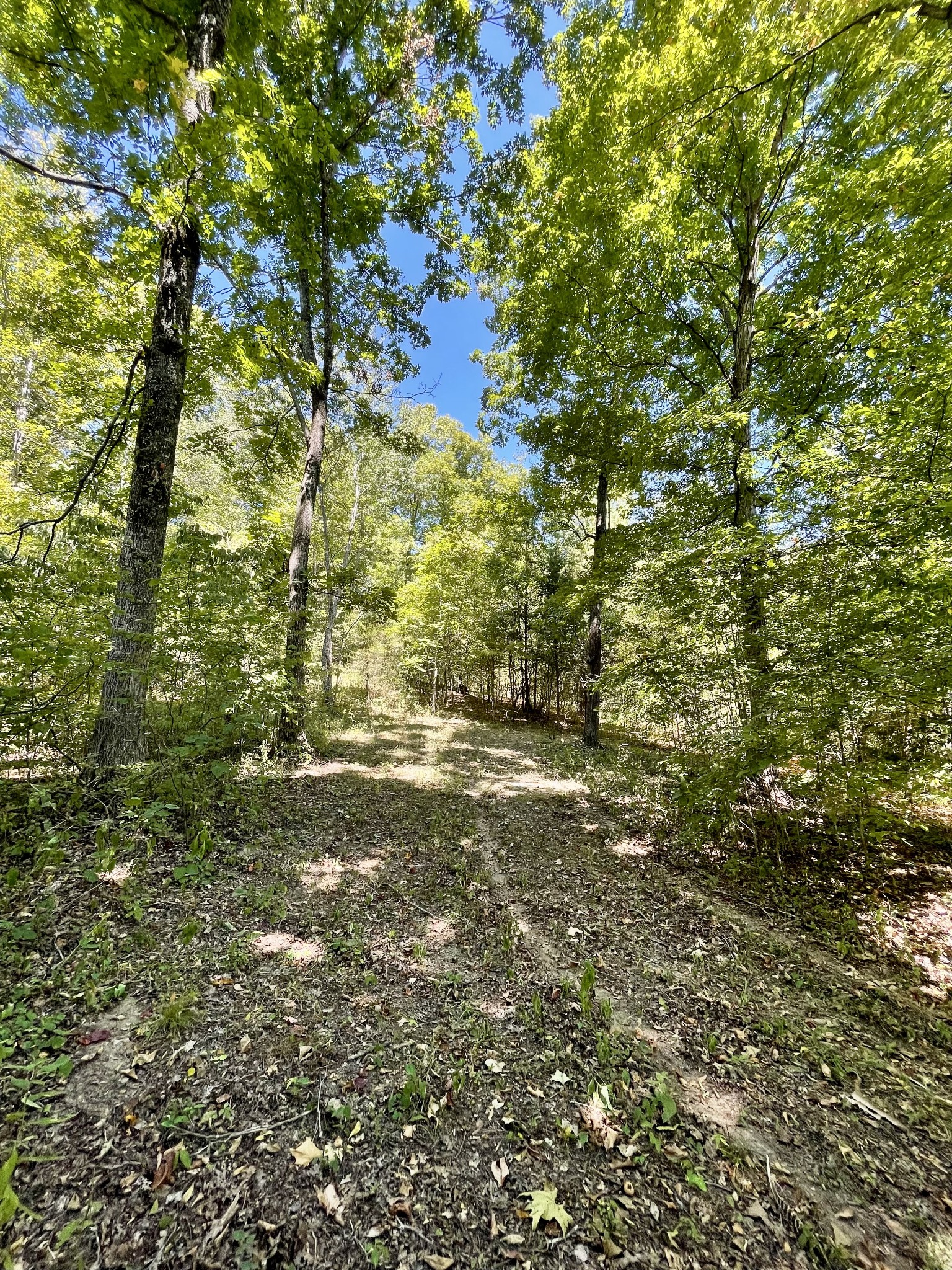 321 Lowery Cemetery Road Cumberland City, TN 37050 - Photo 50 of 50 Gallery Image 50