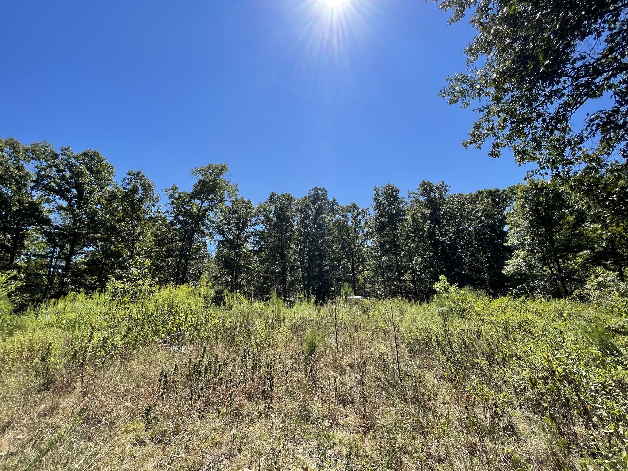 321 Lowery Cemetery Road Cumberland City, TN 37050 - Photo 6 of 50 Gallery Image 6