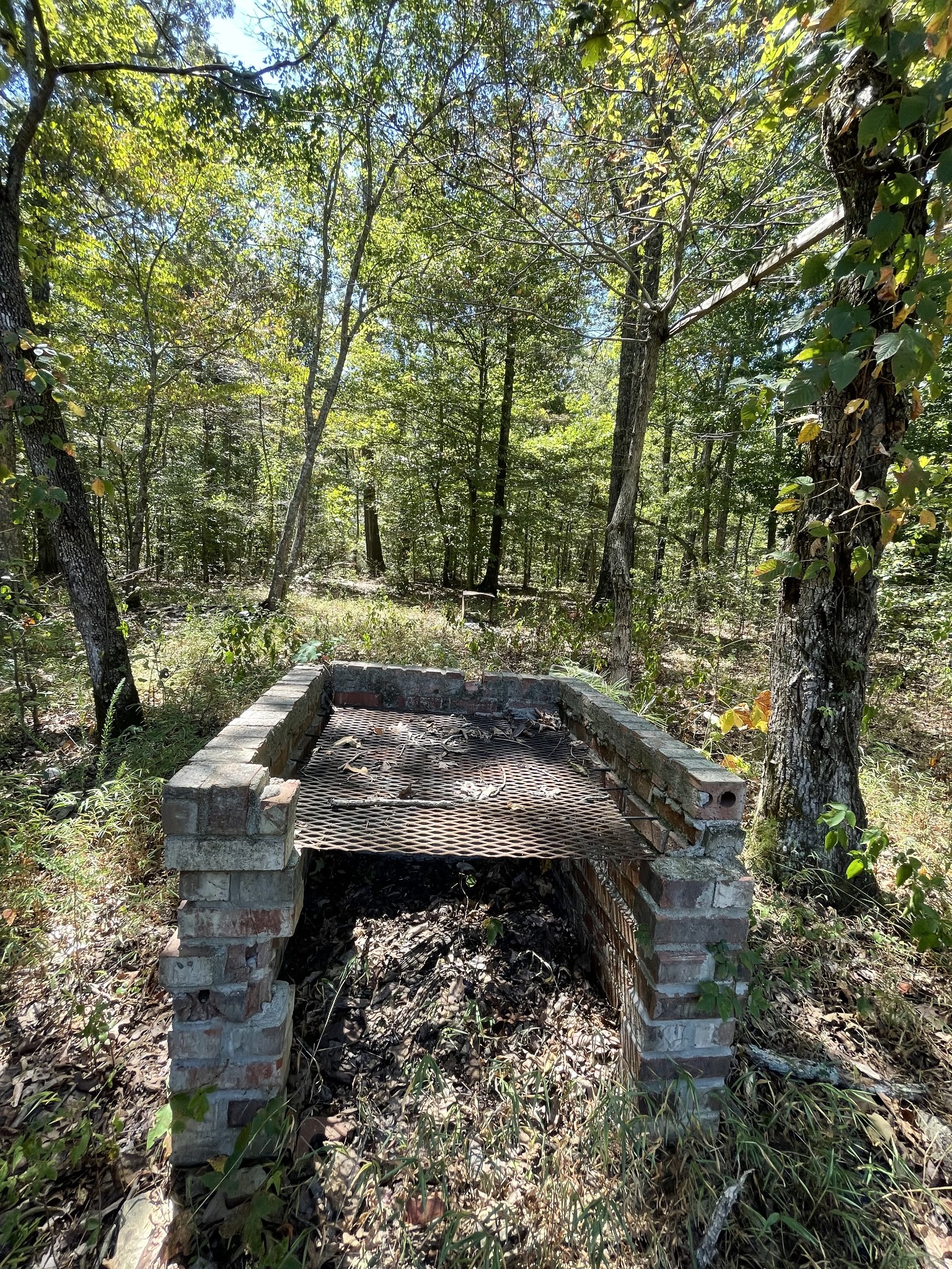 321 Lowery Cemetery Road Cumberland City, TN 37050 - Photo 7 of 50 Gallery Image 7