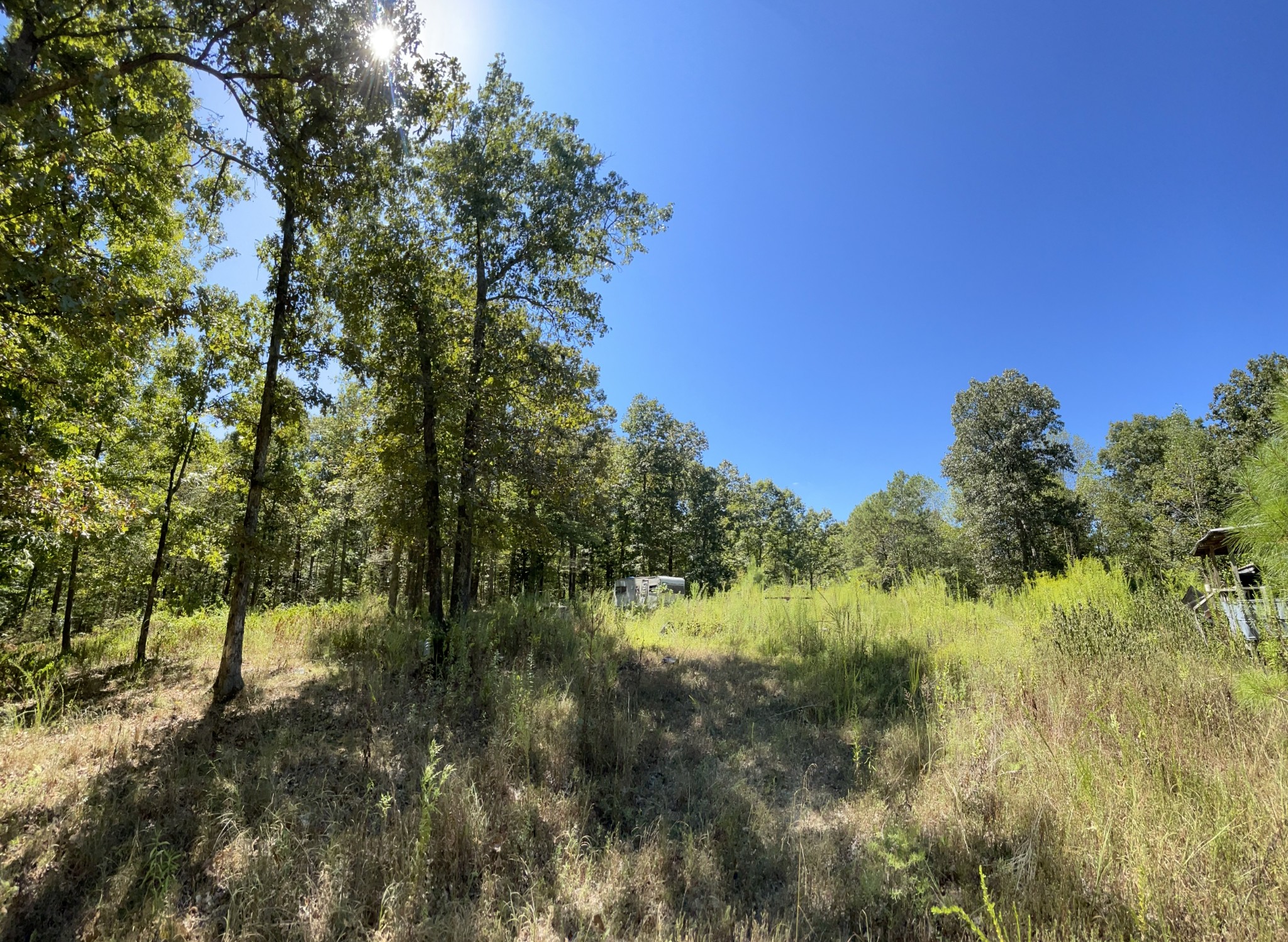 321 Lowery Cemetery Road Cumberland City, TN 37050 - Photo 10 of 50 Gallery Image 10