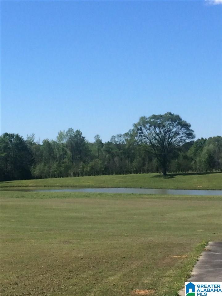 730 County Road 5 Jemison, AL 35085 - Photo 31 of 36