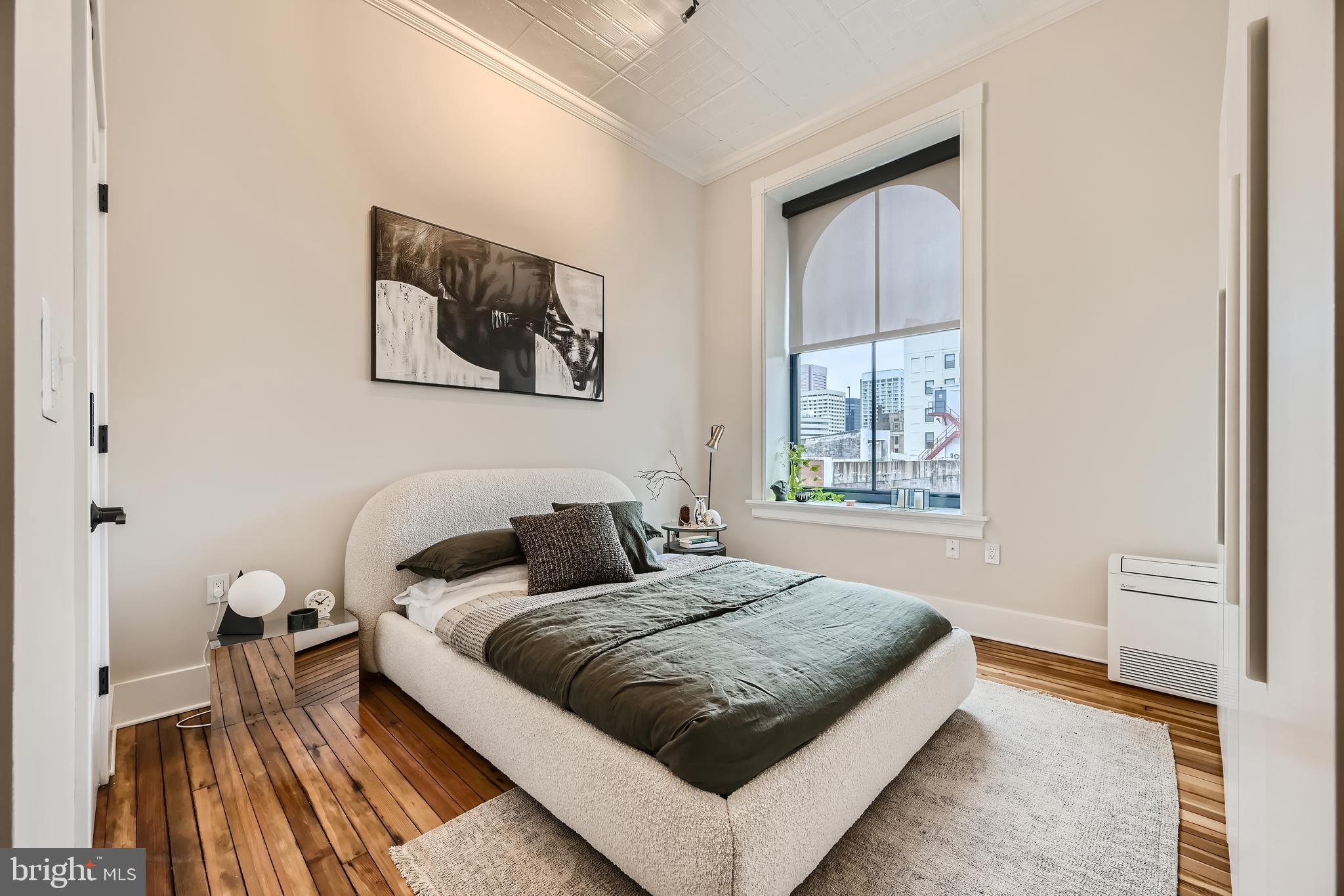 303 North Howard Street, Unit 101 Baltimore, MD 21201 - Photo 10 of 18