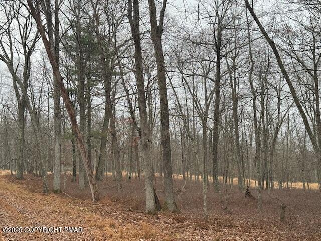 a backyard of a house with lots of trees