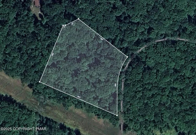 a view of a forest with a street