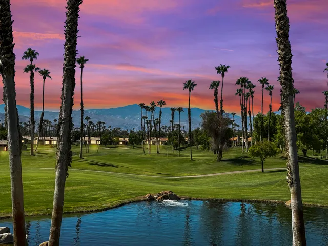 a view of a park with palm trees