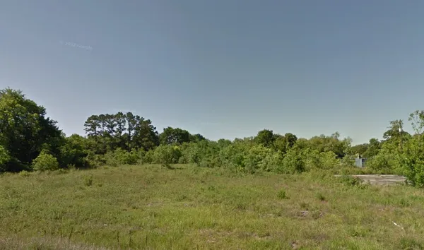 a view of a yard with a tree