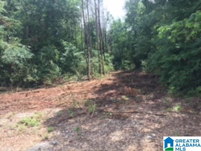325 Springhill Road, Unit 1 Talladega, AL 35160 - Photo 23 of 31