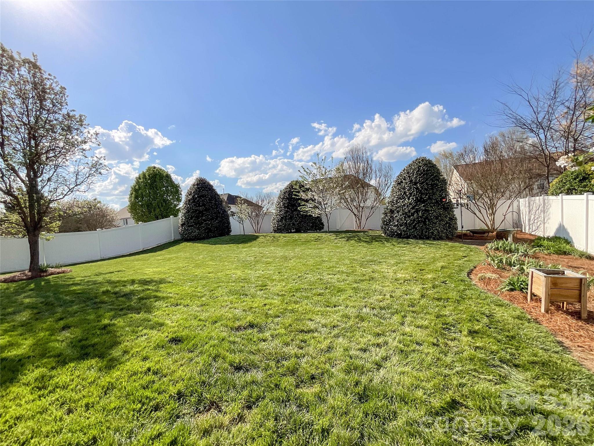 1007 Matilda Lane Indian Trail, NC 28079 - Photo 40 of 43 a view of a big yard with large trees