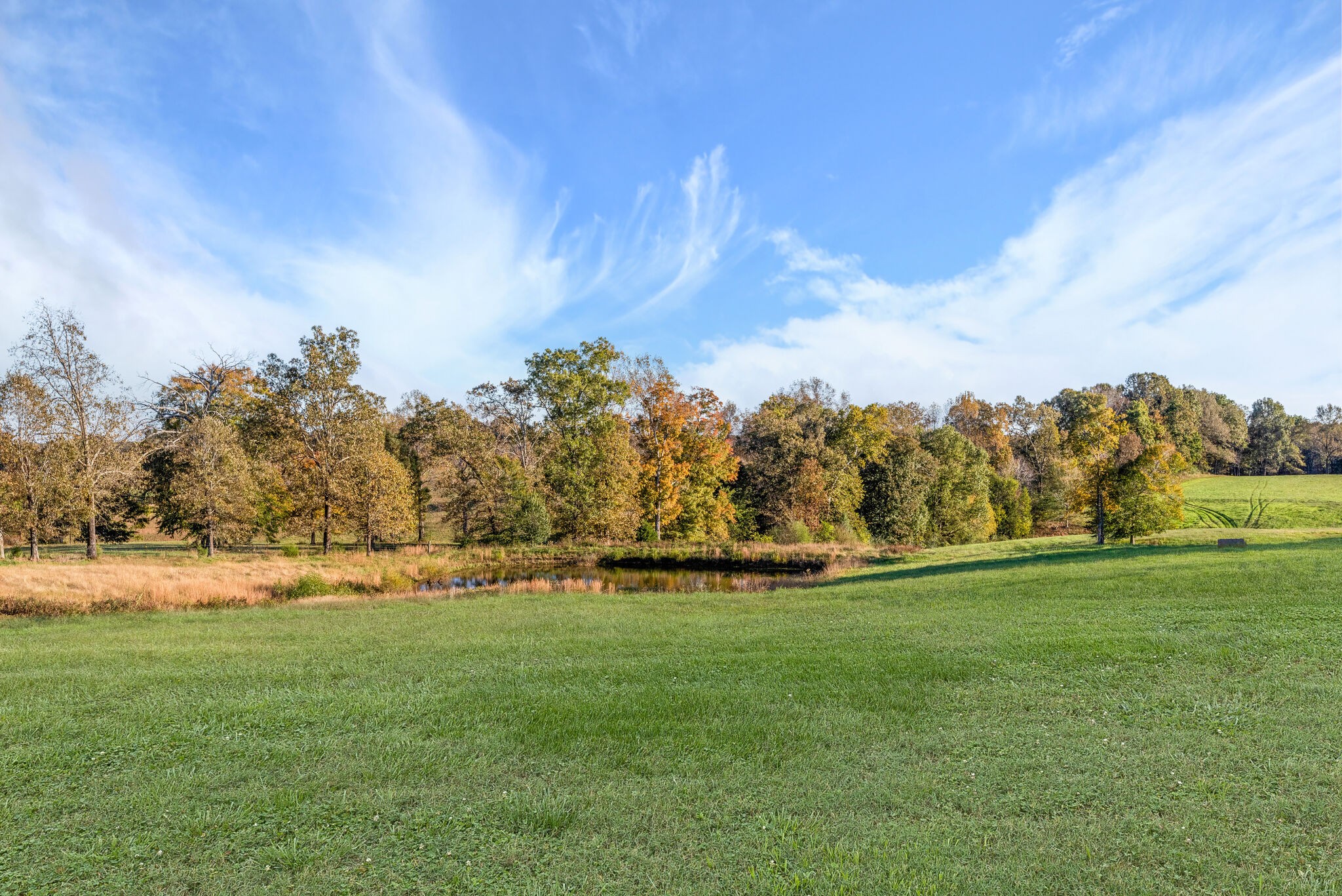 2154 Abiff Road Burns, TN 37029 - Photo 16 of 50 a view of a field of grass and trees