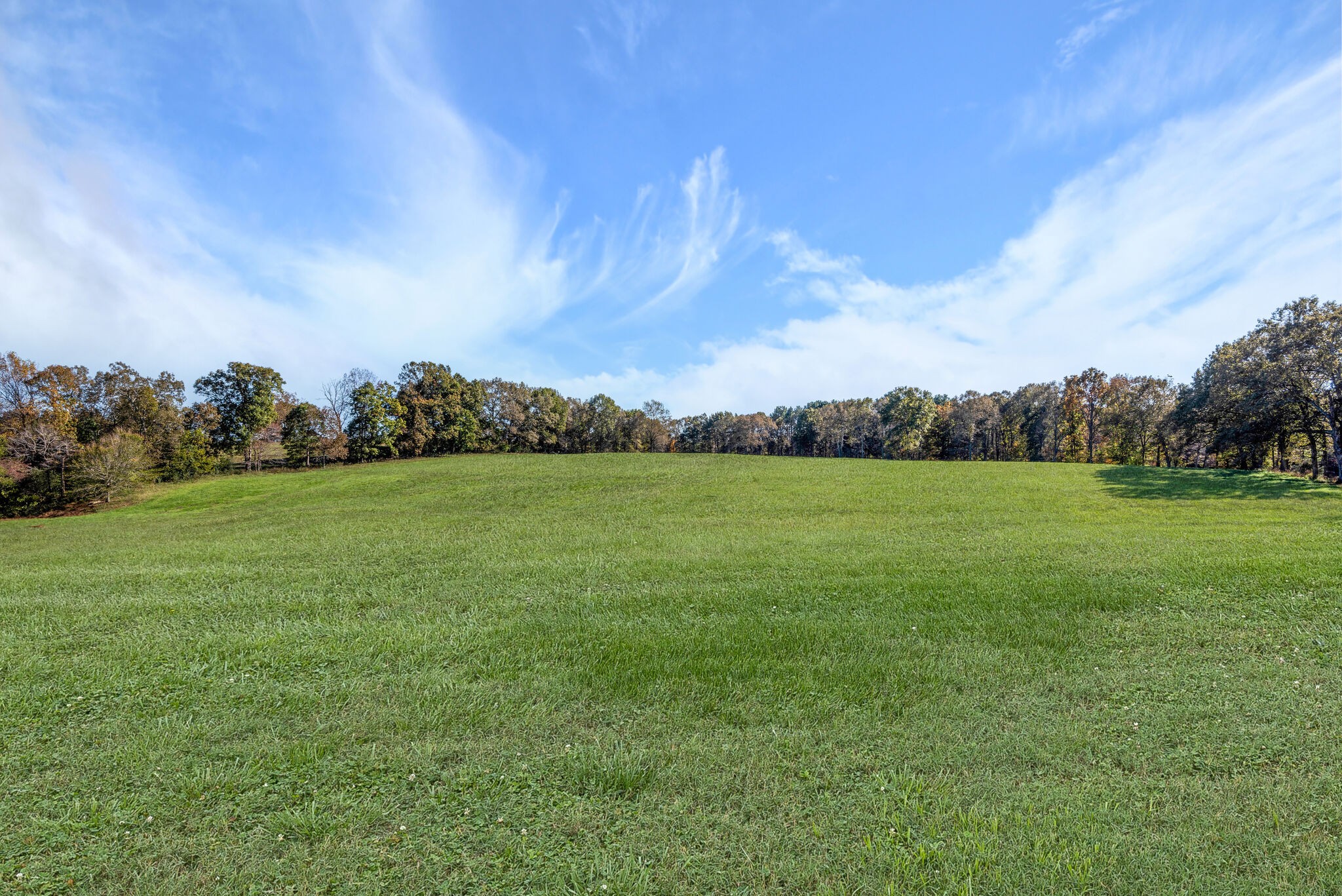 2154 Abiff Road Burns, TN 37029 - Photo 8 of 50 a view of yard with swimming pool and green space
