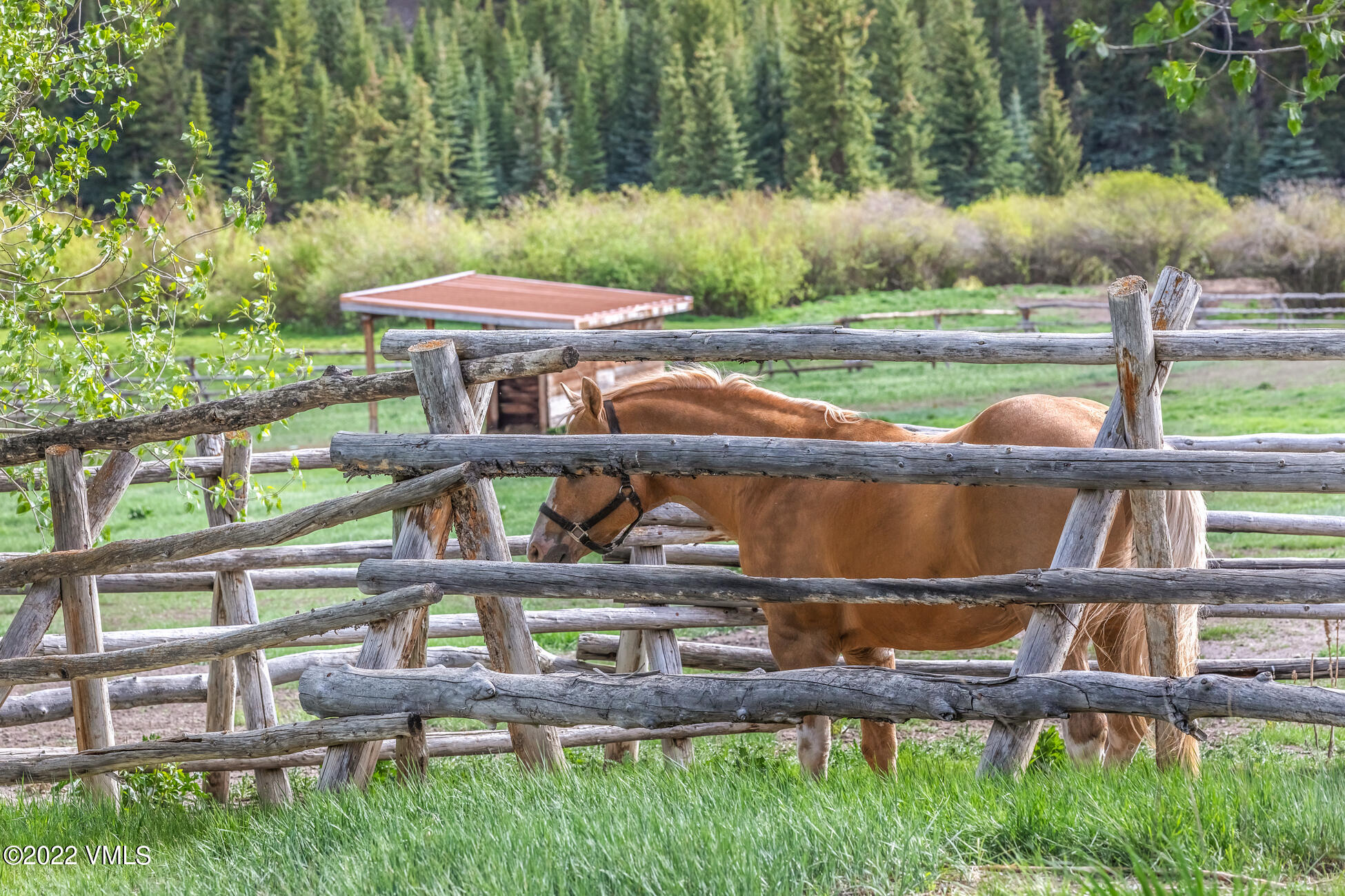 3758 Salt Creek Road Eagle, CO 81631 - Photo 34 of 66 a view of a yard in front of a house with a fountain