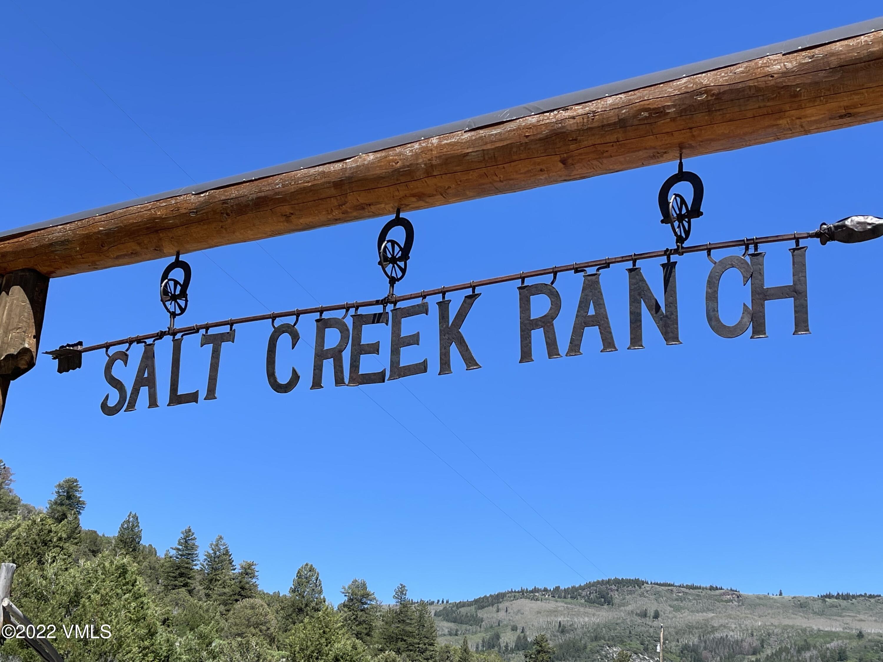 3758 Salt Creek Road Eagle, CO 81631 - Photo 4 of 66 IMG_1082