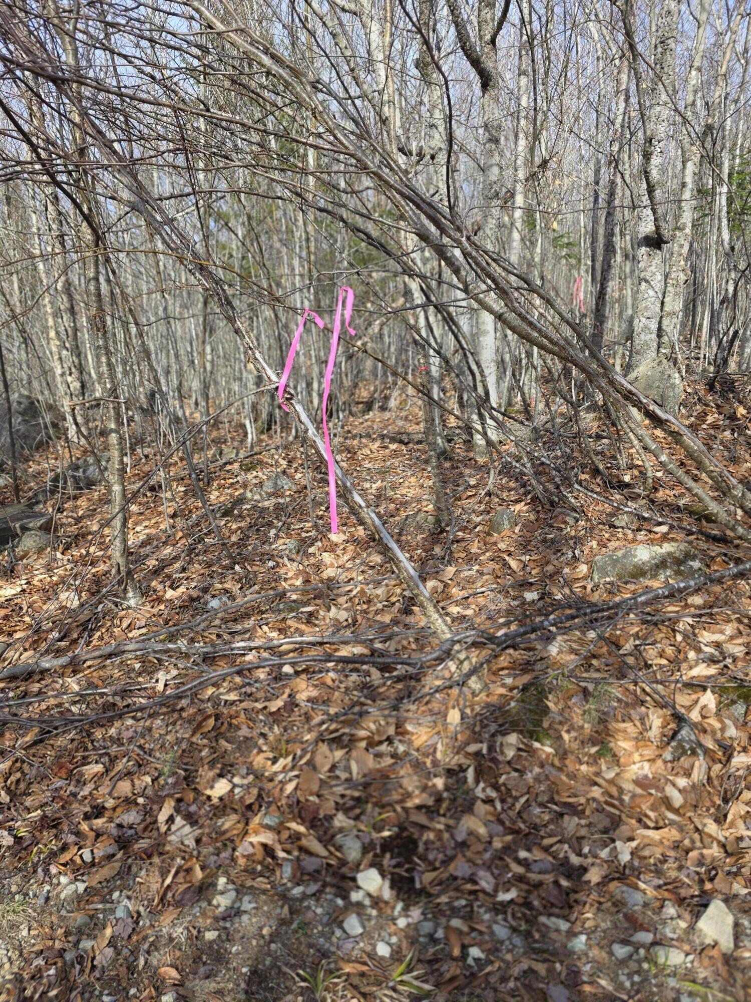 10 Moose Ridge Road Oakfield, ME 04763 - Photo 12 of 13 20260427_165214