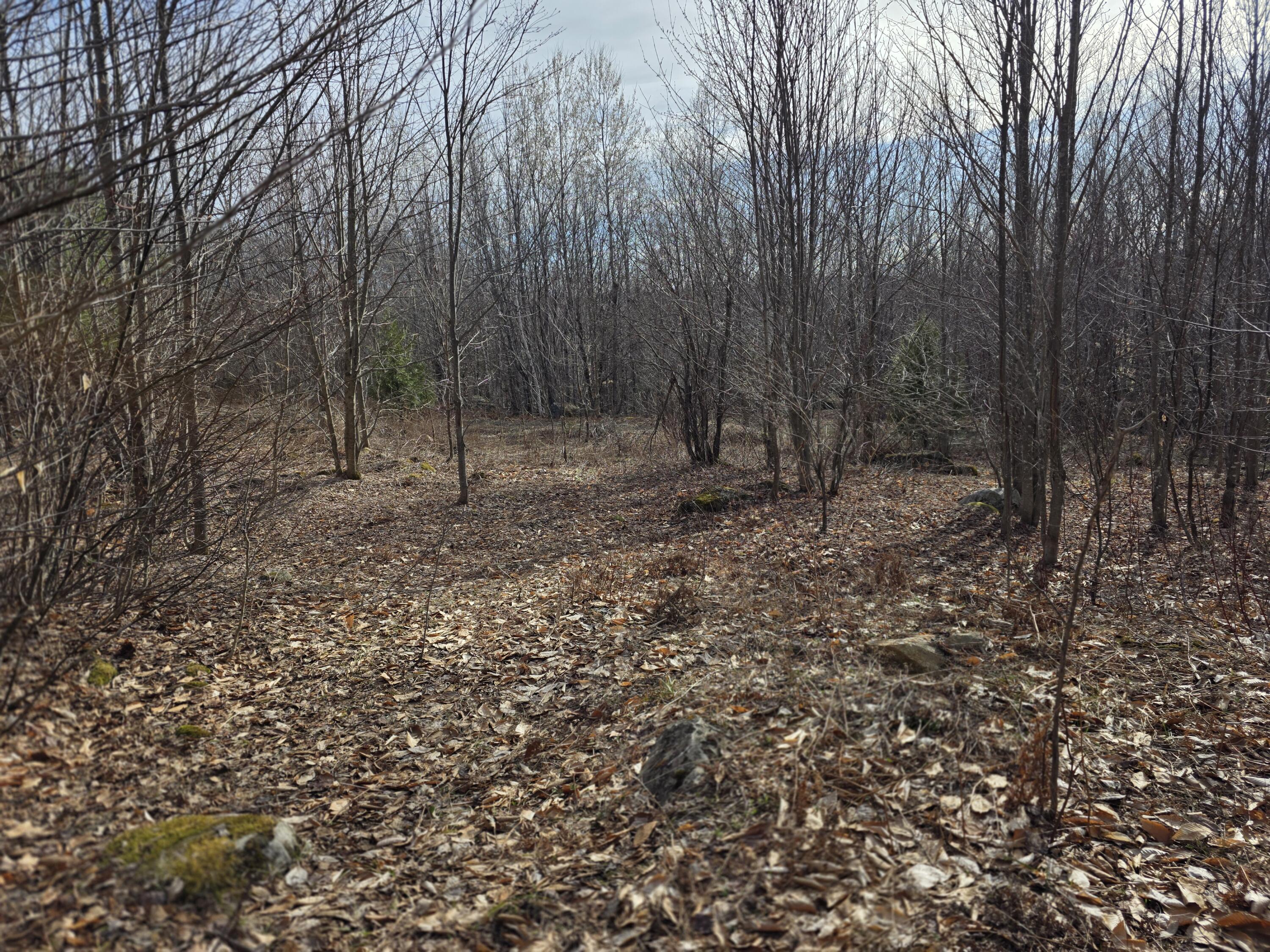 10 Moose Ridge Road Oakfield, ME 04763 - Photo 8 of 13 20260427_165013