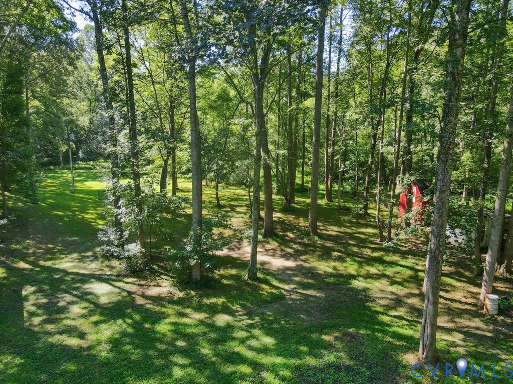 2900 Pleasantwood Road Powhatan, VA 23139 - Photo 41 of 76 Backyard view