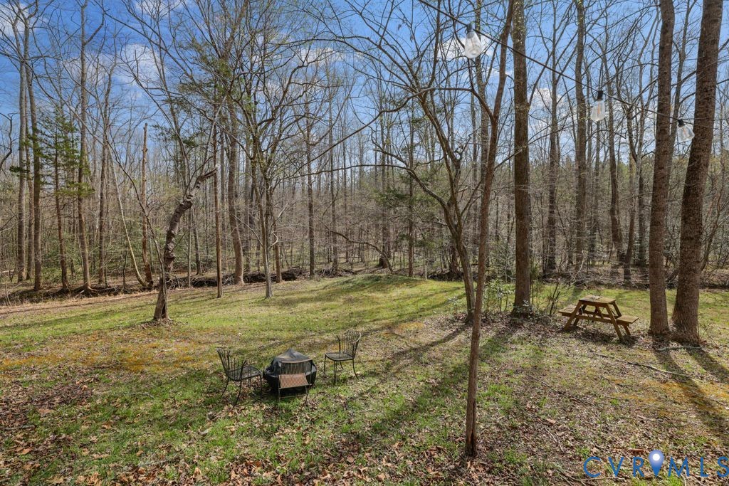 2900 Pleasantwood Road Powhatan, VA 23139 - Photo 50 of 76 Side yard by creek