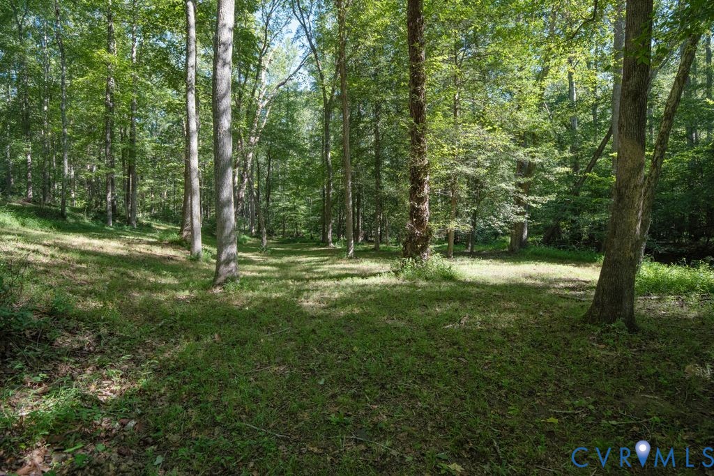 2900 Pleasantwood Road Powhatan, VA 23139 - Photo 53 of 76 Side yard by creek