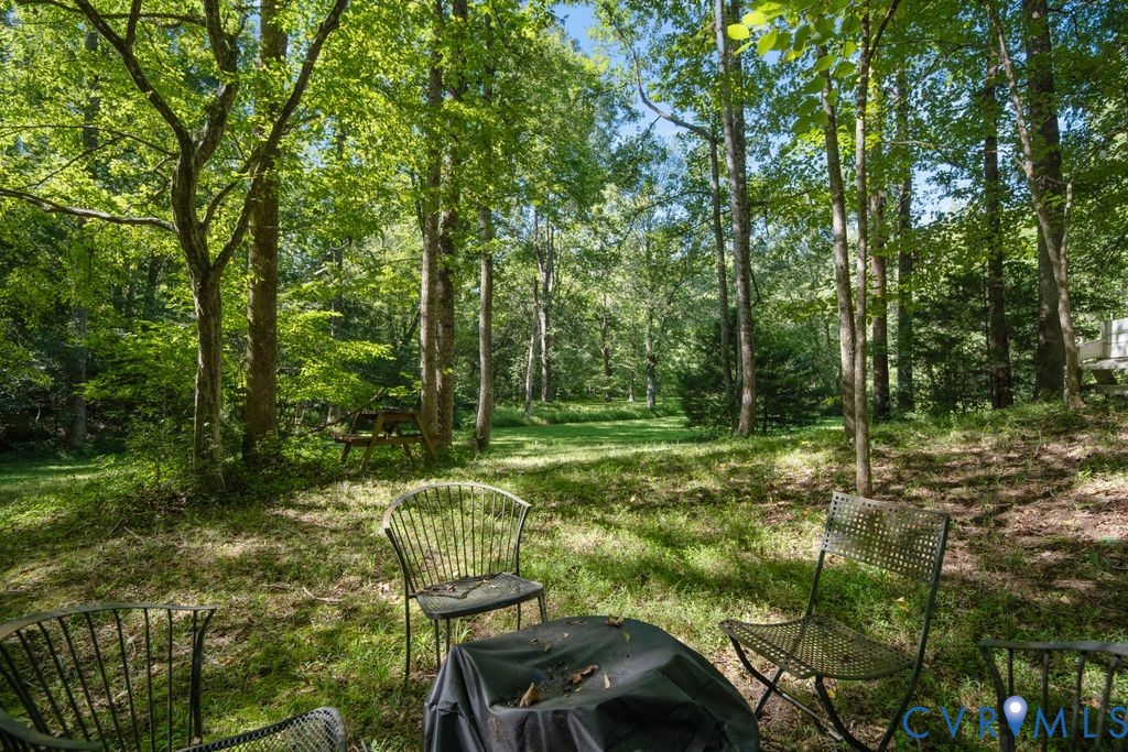 2900 Pleasantwood Road Powhatan, VA 23139 - Photo 55 of 76 Side yard by creek