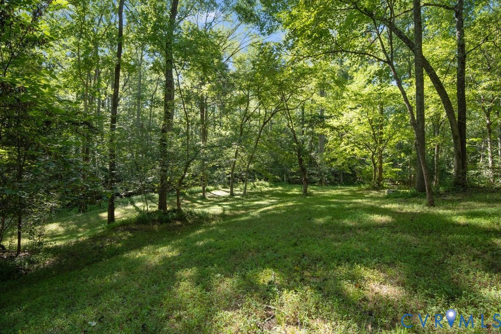 2900 Pleasantwood Road Powhatan, VA 23139 - Photo 57 of 76 side yard by creek