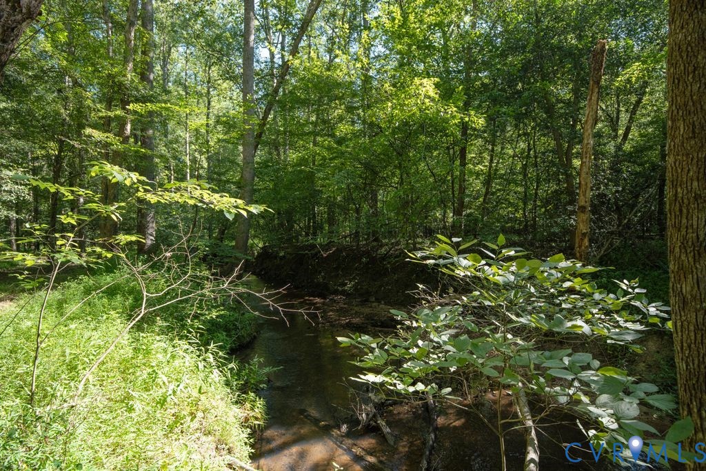 2900 Pleasantwood Road Powhatan, VA 23139 - Photo 61 of 76 Jones Creek