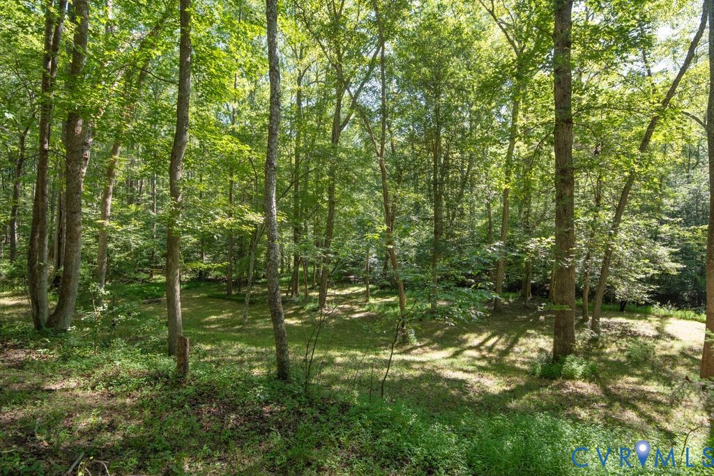 2900 Pleasantwood Road Powhatan, VA 23139 - Photo 68 of 76