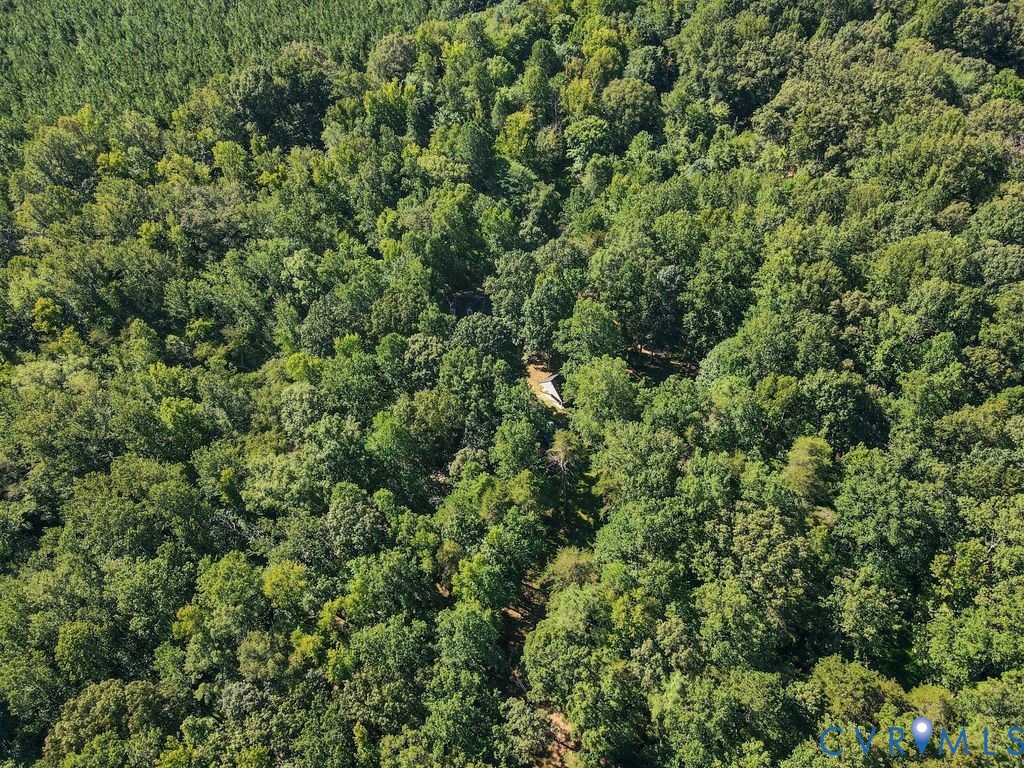 2900 Pleasantwood Road Powhatan, VA 23139 - Photo 73 of 76