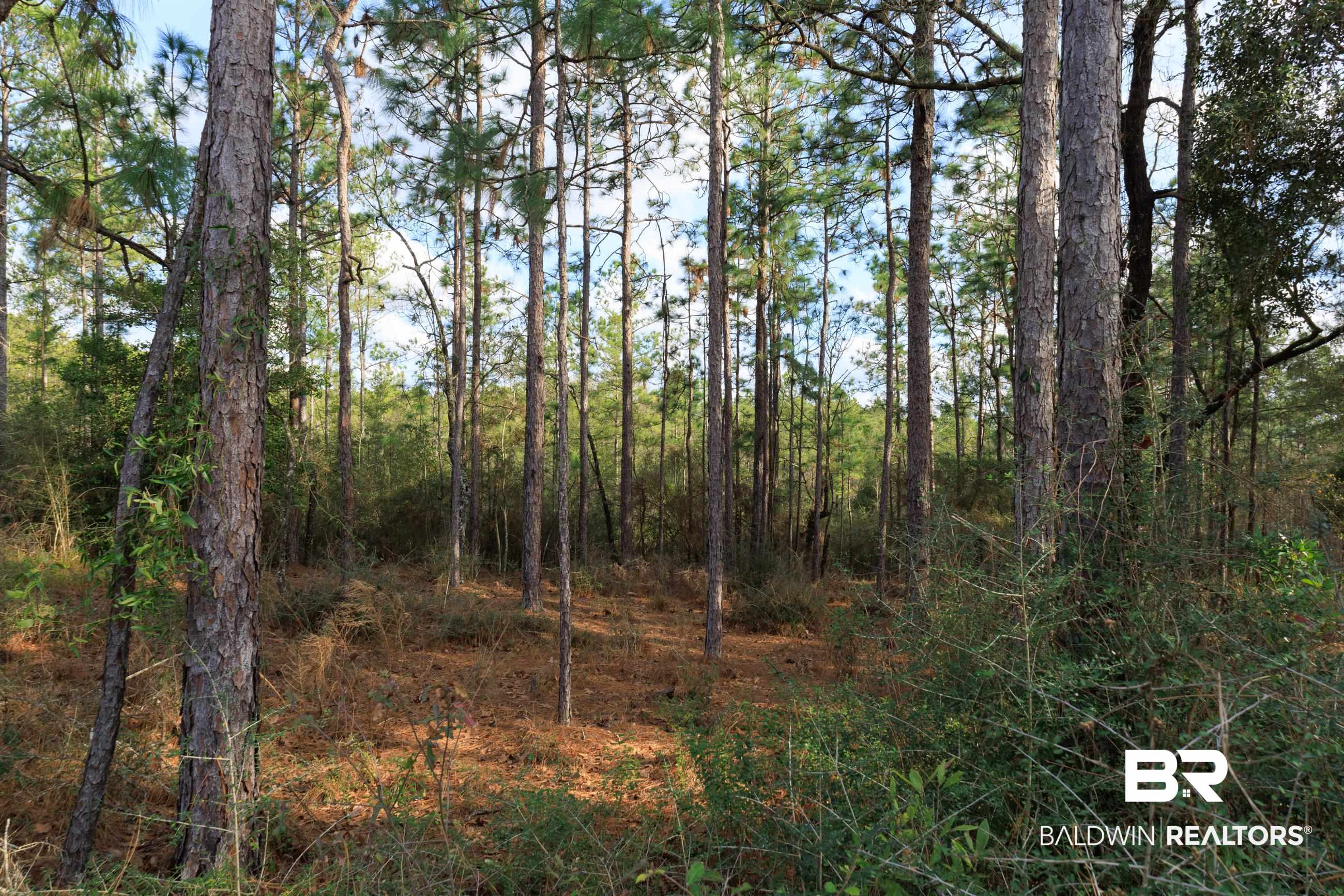 0 Bromley Road Daphne, AL 36527 - Photo 15 of 16