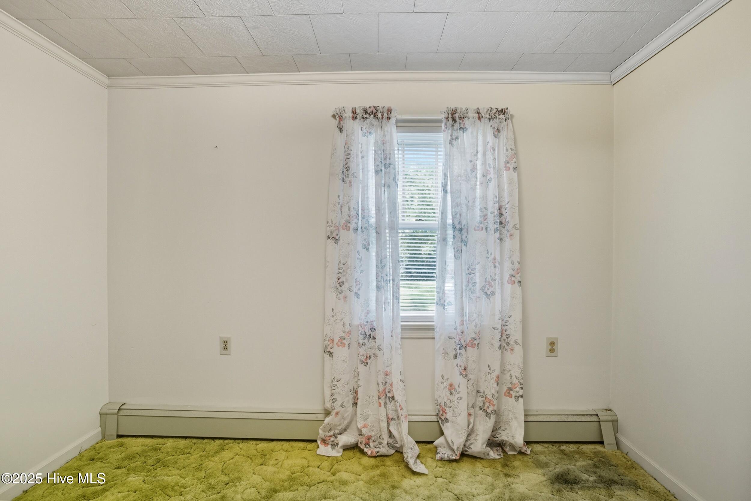 163 Maple Road Maple, NC 27956 - Photo 25 of 30 Bedroom 2