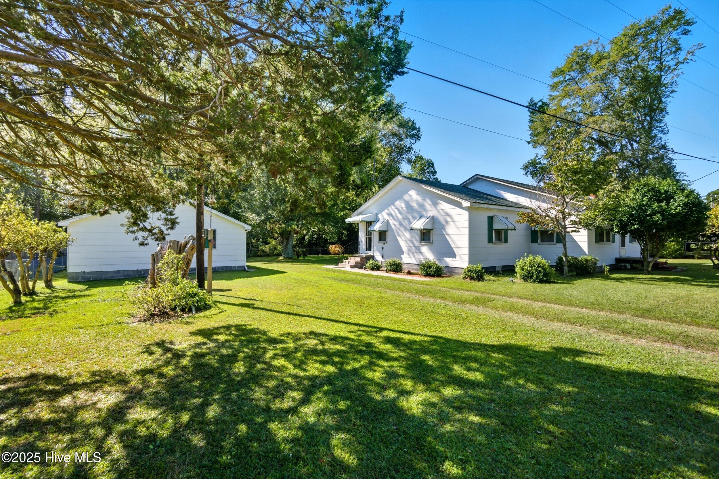 163 Maple Road Maple, NC 27956 - Photo 5 of 30 Side yard