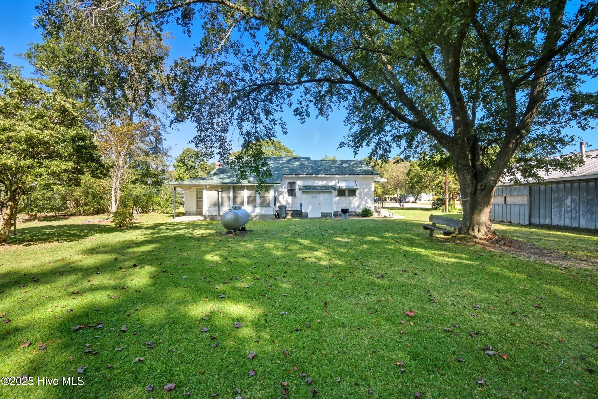 163 Maple Road Maple, NC 27956 - Photo 6 of 30 Back yard