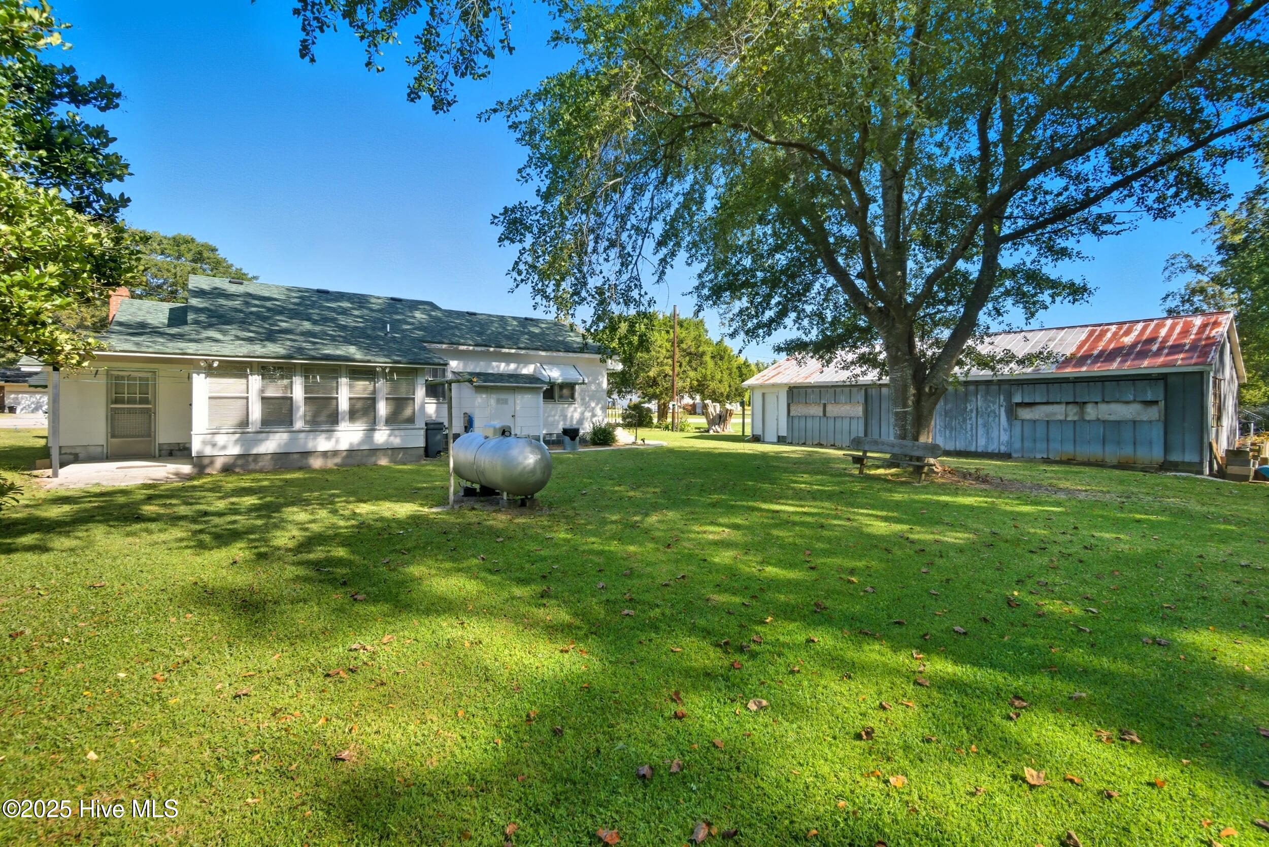 163 Maple Road Maple, NC 27956 - Photo 8 of 30 Back yard
