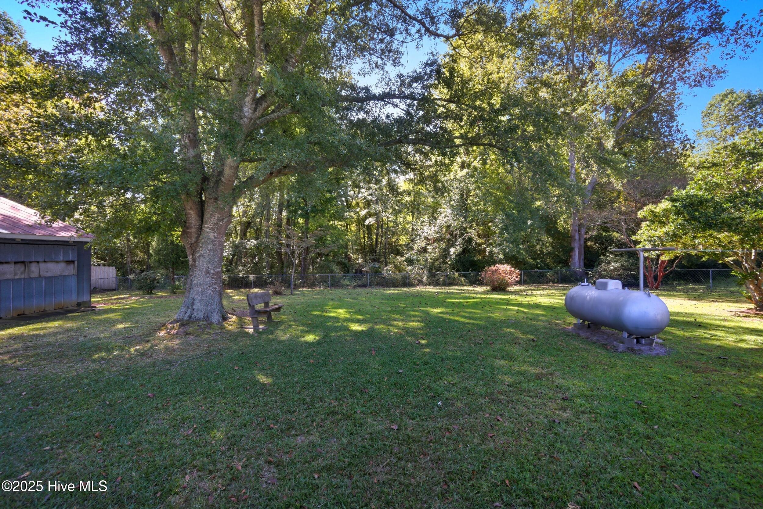 163 Maple Road Maple, NC 27956 - Photo 9 of 30 Back yard