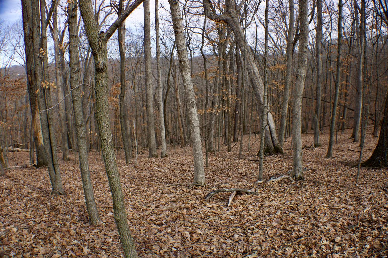 1 Misty Ridge Eureka, MO 63025 - Photo 3 of 9