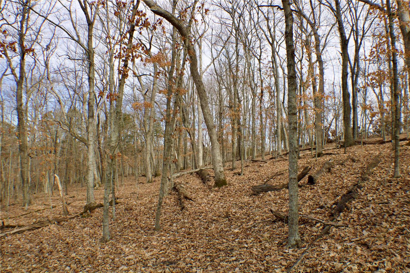 1 Misty Ridge Eureka, MO 63025 - Photo 7 of 9