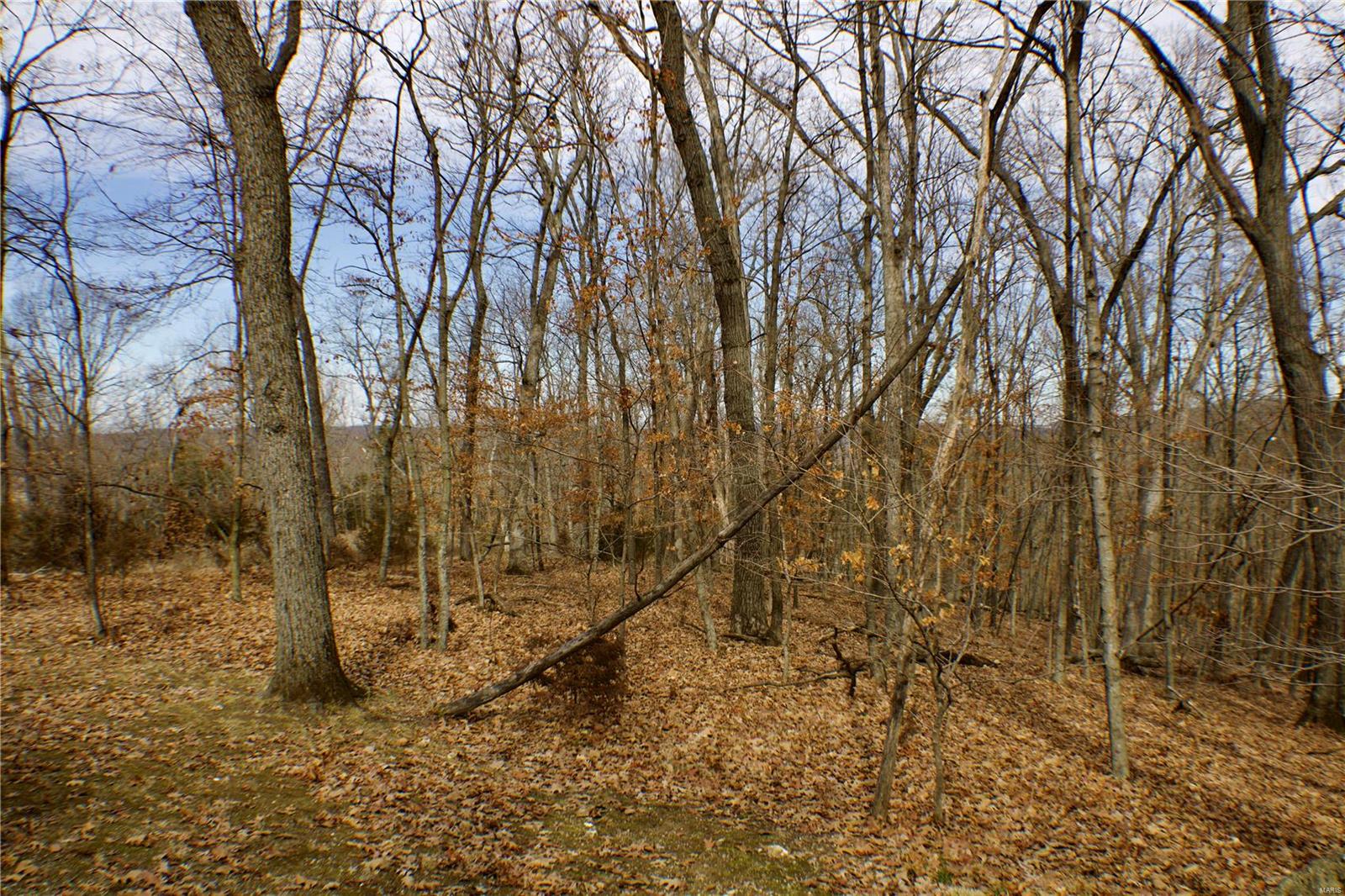 1 Misty Ridge Eureka, MO 63025 - Photo 8 of 9