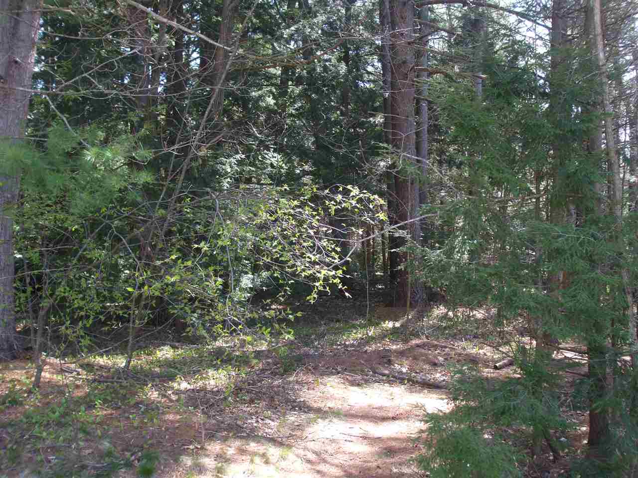 7 Tingley Street Rochester, NH 03867 - Photo 11 of 11