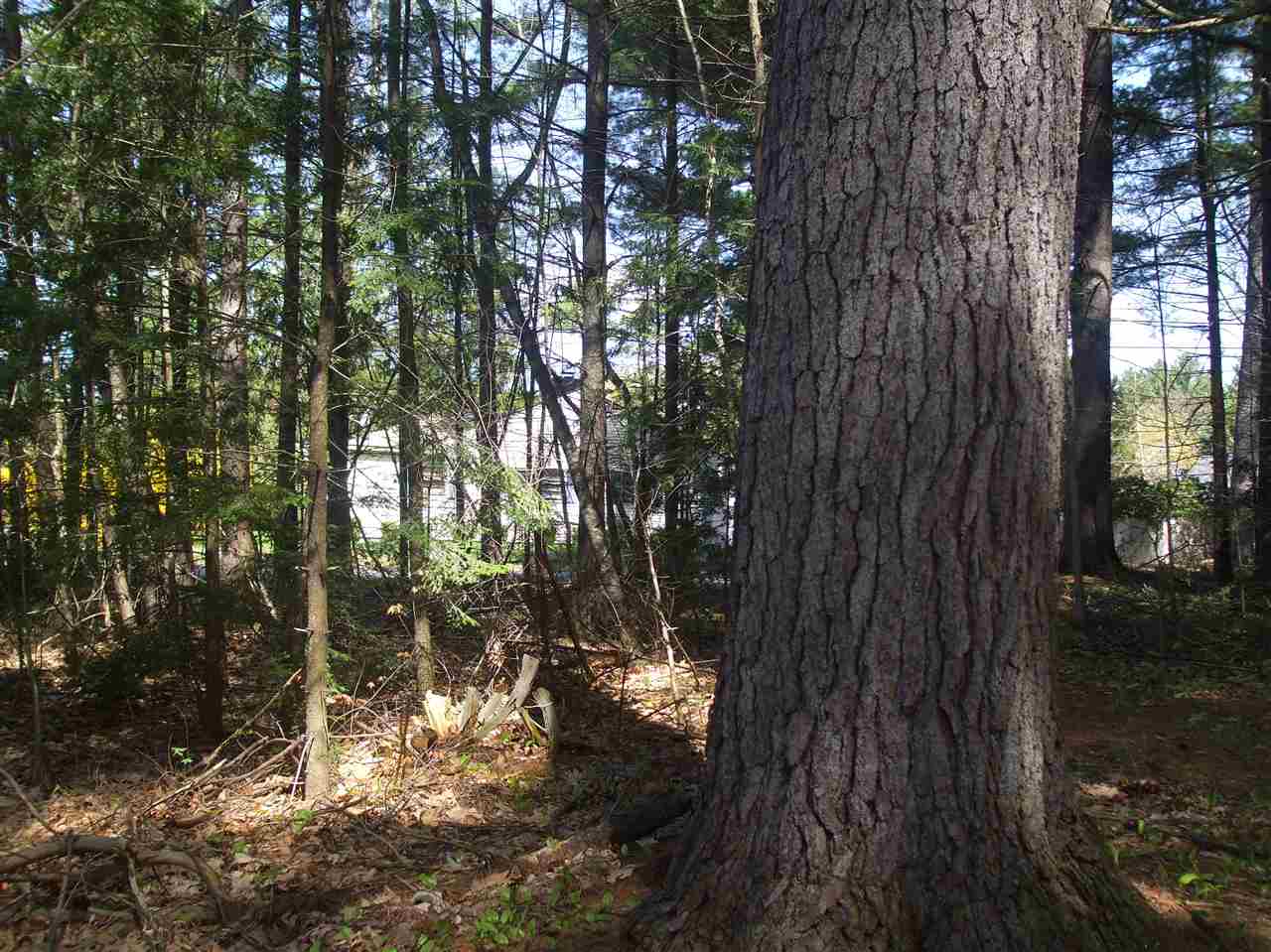 7 Tingley Street Rochester, NH 03867 - Photo 10 of 11