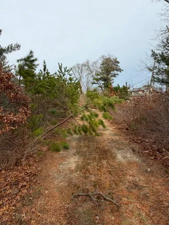 $925,000 | 67 Hudson Avenue, Oak Bluffs, MA 02557