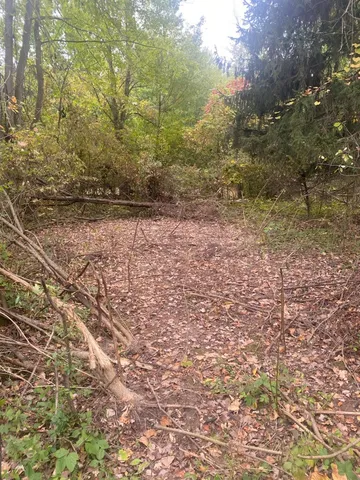 $29,900 | 1869 Wilson Avenue Northwest, Walker, MI 49534