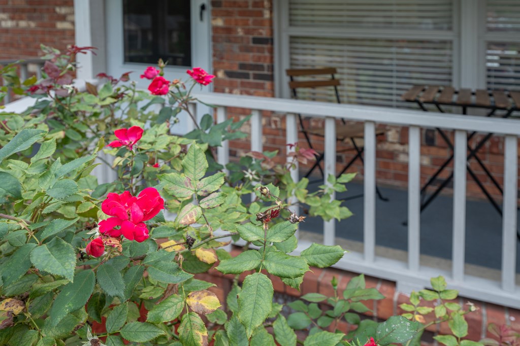 3828 Reese Road Columbus, GA 31907 - Photo 44 of 45 a view of a flower arrangement in a garden