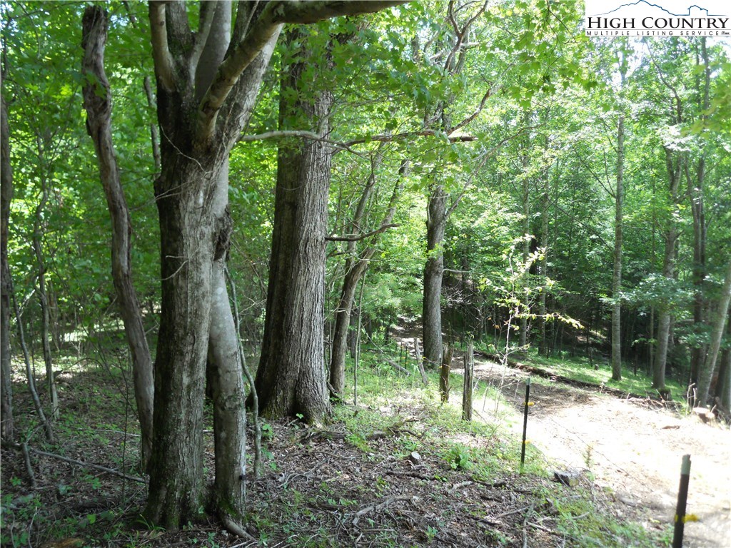 Claude Dickson Road Lansing, NC 28643 - Photo 1 of 12
