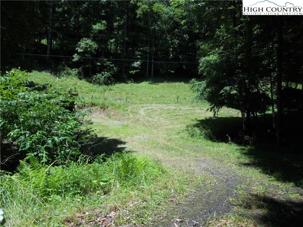 Claude Dickson Road Lansing, NC 28643 - Photo 2 of 12