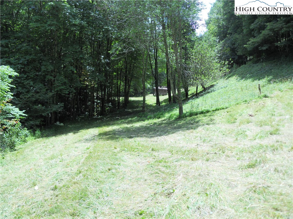 Claude Dickson Road Lansing, NC 28643 - Photo 7 of 12