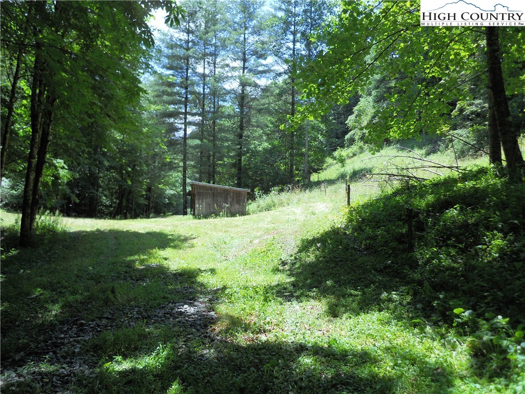 Claude Dickson Road Lansing, NC 28643 - Photo 9 of 12