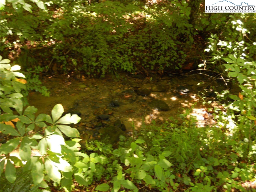 Claude Dickson Road Lansing, NC 28643 - Photo 10 of 12