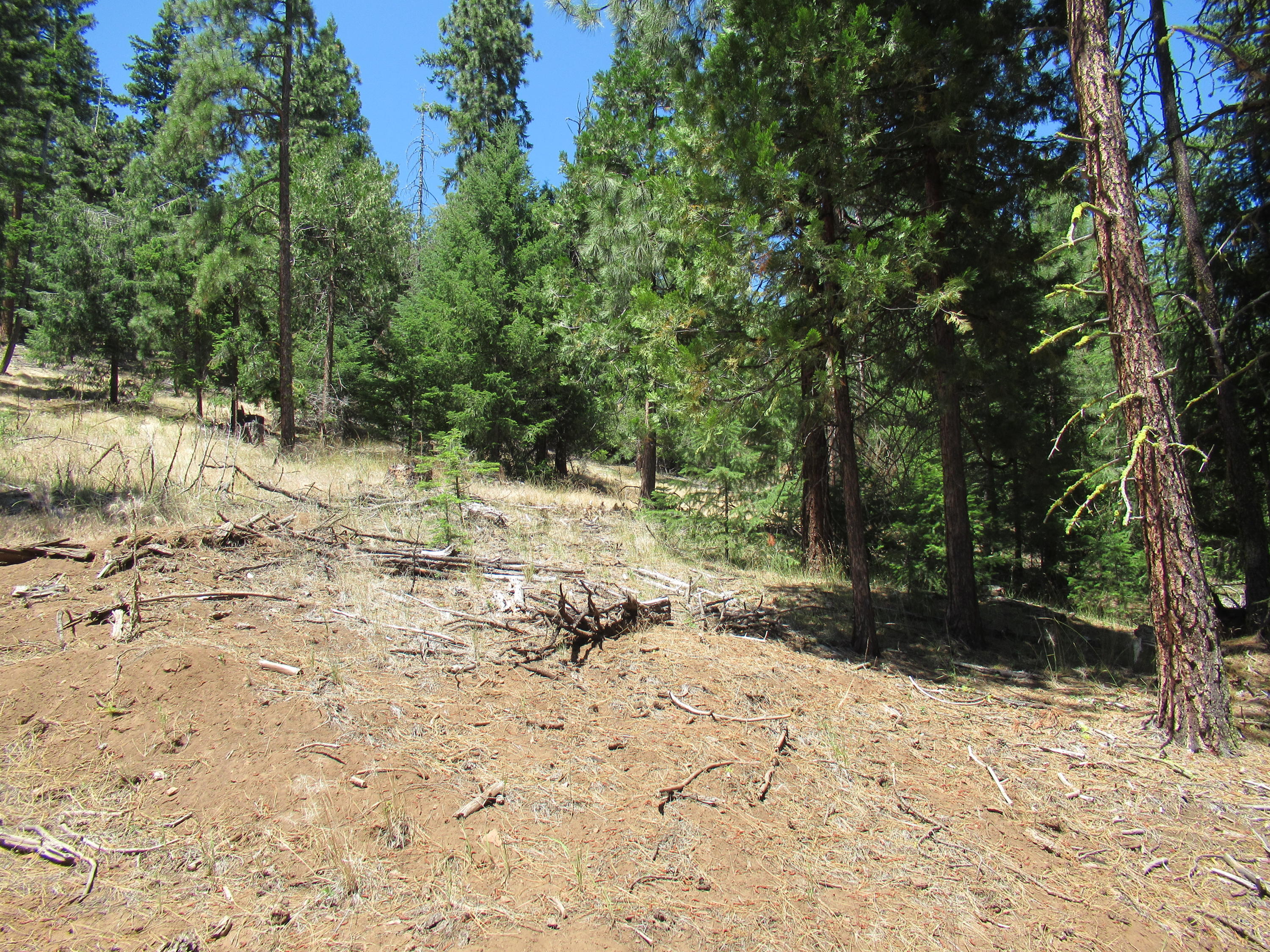 Christopher Road Keno, OR 97627 - Photo 8 of 14 Lot #1 (4)
